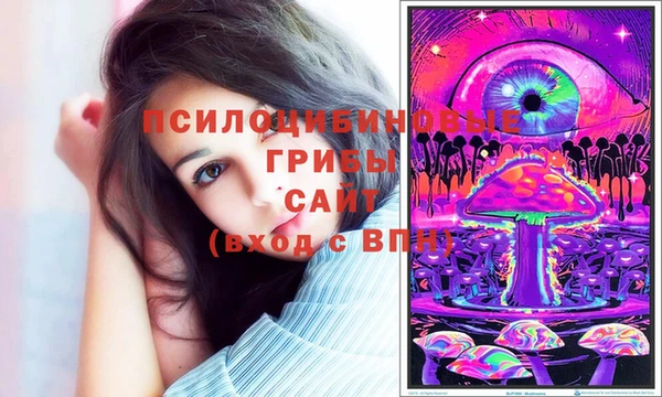 дмт Баксан